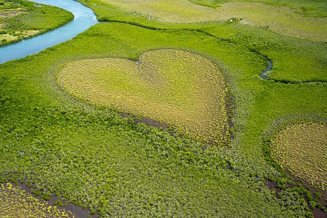 A green, heart-shaped field amid other fields beside a river.