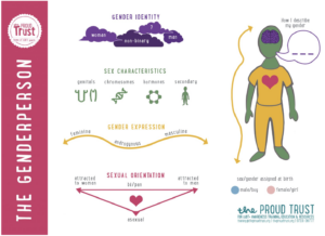 A complex graphic titled "The Gendered Person" with an illustration of a person saying "How I describe my gender" and graphics for Gender Identity, Sex Characteristics, Gender Expression, and Sexual Orientation, created by the Proud Trust.